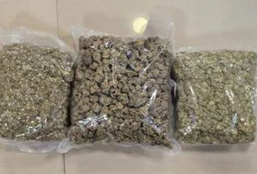 Mumbai: DRI seizes drugs valued at Rs 42 crore, 2 arrested