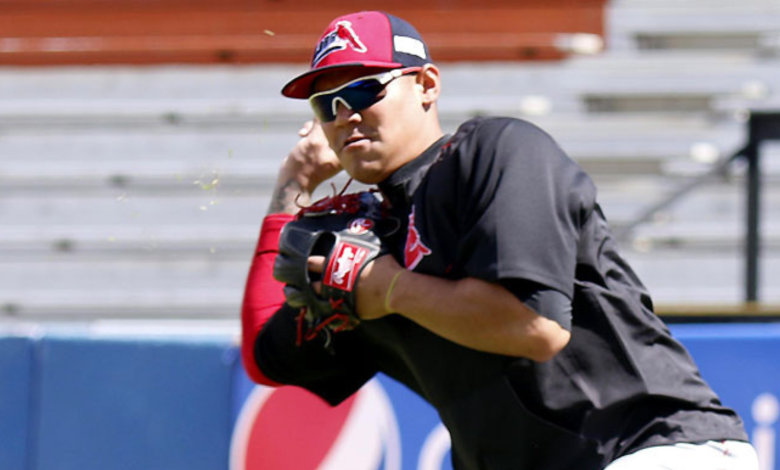 Murió el expelotero venezolano Yoervis Medina