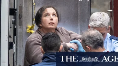 Mushroom murderer Erin Patterson granted approval to appeal guilty verdicts