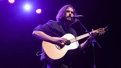Music sales by Hozier and Taylor Swift lift profits and revenues at Universal Music Ireland