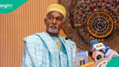 'Mutuwar Gaddafi ta kara kwararowar makamai a Najeriya': Ministan harkokin waje