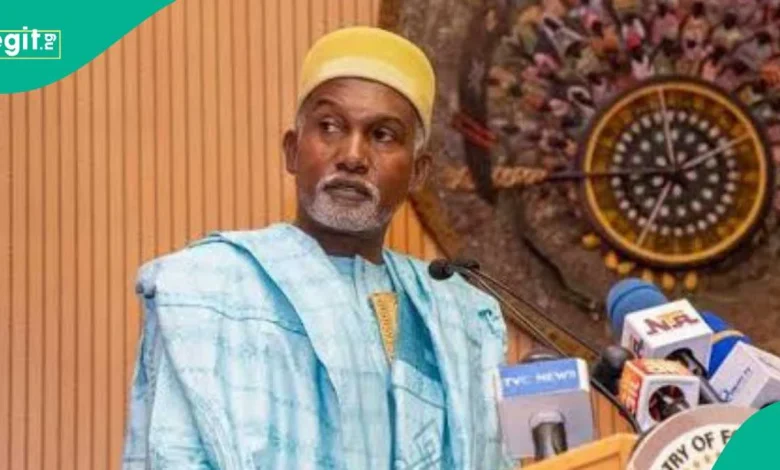 'Mutuwar Gaddafi ta kara kwararowar makamai a Najeriya': Ministan harkokin waje