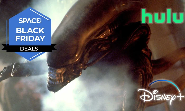 My favorite streaming service has a huge 62% discount this Black Friday.