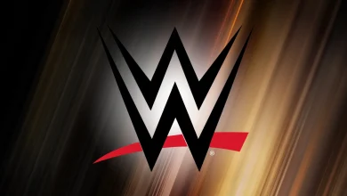 Mystery WWE Superstar Interferes at WarGames (And It’s Not Seth Rollins)