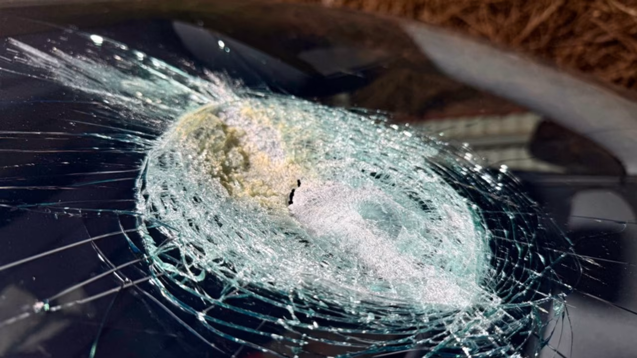 Mystery surrounds incredibly rare incident