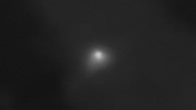 NASA missions captures images as an interstellar comet zips by Mars