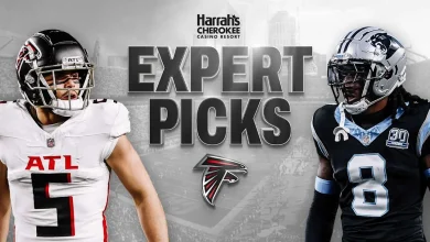 NFL Expert Picks: Who will win in Week 11, Falcons or Panthers?