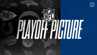 NFL playoff picture: Updated AFC, NFC standings for Week 11 of 2025 season