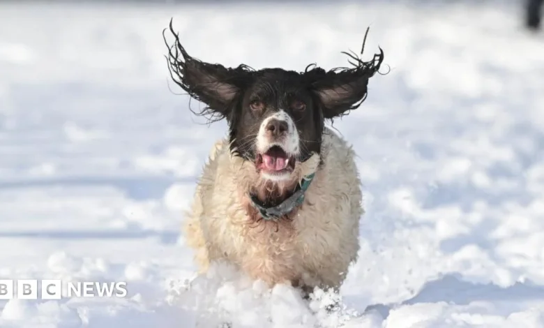 NI weather: Possible disruption as yellow snow and ice warning issued