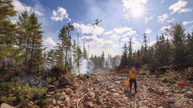 N.L. building firebreaks in areas hit by summer wildfires