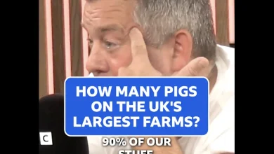 NPA issues formal complaint over misleading BBC clip on pig farm size