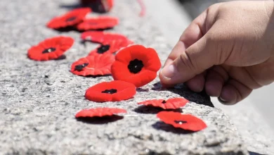N.S. chief justices supports individual judges banning poppies in court