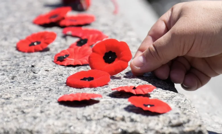 N.S. chief justices supports individual judges banning poppies in court