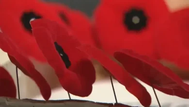 N.S. premier criticizes ‘disgusting’ ban on staff wearing poppies in some courtrooms
