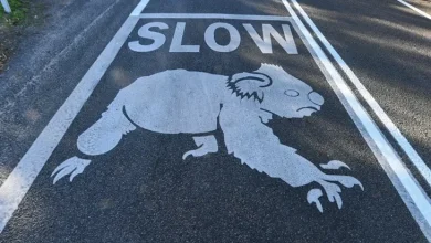 NSW Nanny State makes regional roads more dangerous