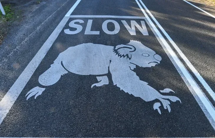 NSW Nanny State makes regional roads more dangerous