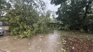 NT Government disaster recovery hardship payments of $250 to be accessible from Wednesday