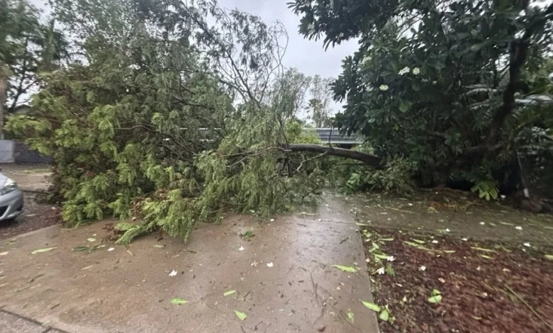 NT Government disaster recovery hardship payments of $250 to be accessible from Wednesday