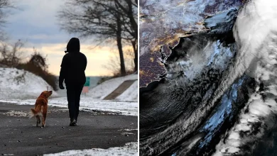 NYC gets first snow of season as powerful polar vortex sends arctic blast to tri-state area