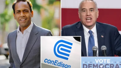 NYS Comptroller candidate Raj Goyle wants to take utility hikes out of hands of bureaucrats: ‘Getting squeezed’