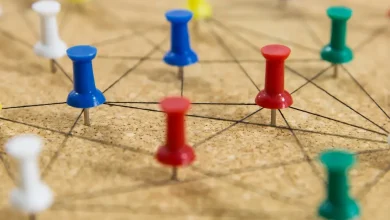 NYT Connections Hints And Answers Explained For Thursday, November 20 (#893)