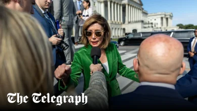 Nancy Pelosi ‘planning to quit politics’