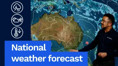 National weather forecast: Tropical low off the NT, storms in WA