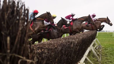 Navan's high-class Troytown Chase card goes ahead after passing morning inspection
