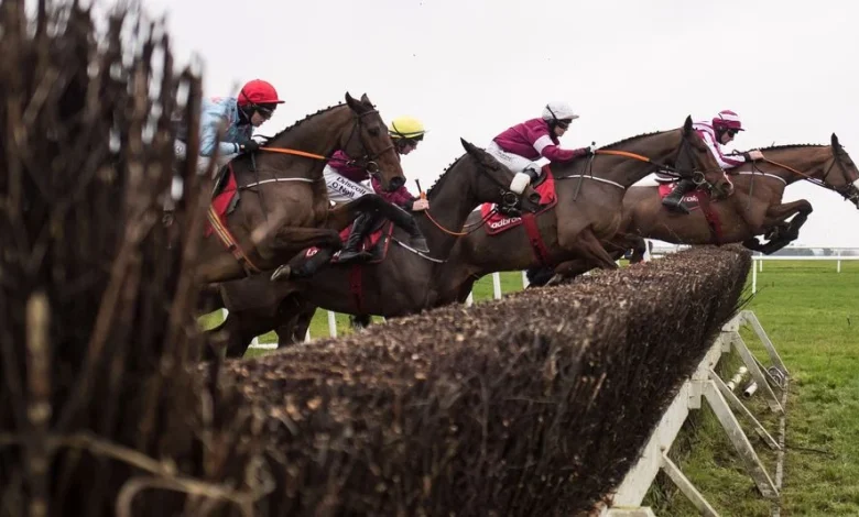 Navan's high-class Troytown Chase card goes ahead after passing morning inspection