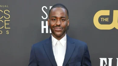 Ncuti Gatwa Joins Cynthia Erivo in Animated Musical ‘Bad Fairies’