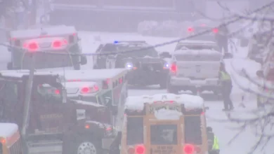 Nearly 500 crashes reported in Calgary’s first snowfall