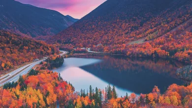 Nearly 82 Million Americans Projected to Travel over Thanksgiving