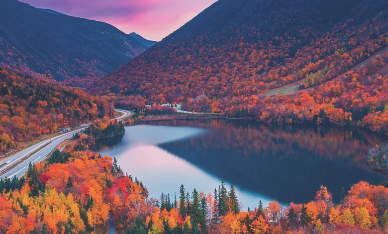 Nearly 82 Million Americans Projected to Travel over Thanksgiving