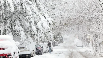 Neige et pluie verglaçante | Plus de 72 000 foyers privés d’électricité
