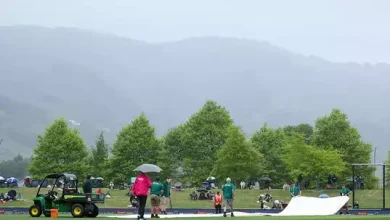 Nelson T20I abandoned due to rain