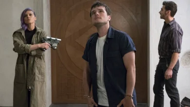 Netflix adds 91% rated series that fans rewatch multiple times