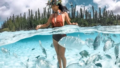 New Caledonia tourism launches new B2B website for the travel trade