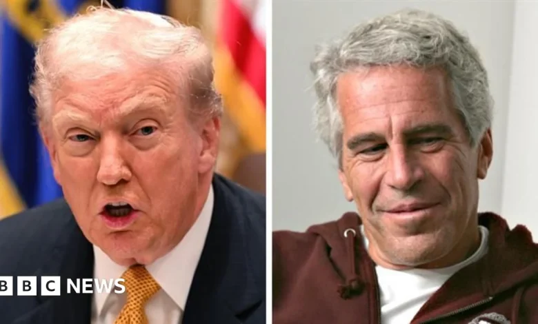 New Epstein emails that mention Trump released by House Democrats - live updates