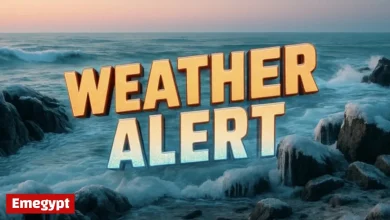 New Jersey Marine Weather Alert: 45-Knot Winds, 8-Foot Waves Until Thursday