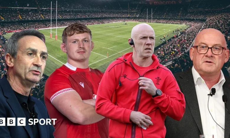 New Tandy era aims to lift Wales from doldrums