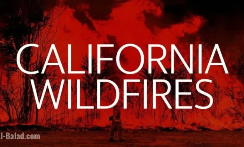 New Wildfire Erupts in Los Angeles County, California