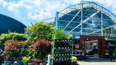 New era for Kerry garden centre business formerly owned by Nathan McDonnell