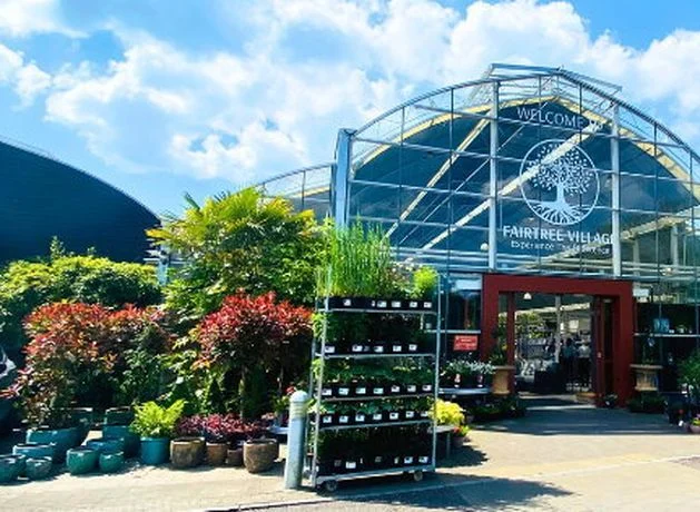 New era for Kerry garden centre business formerly owned by Nathan McDonnell