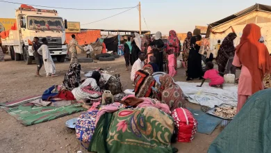 New light shed on el-Fasher horror as survivors arrive in Sudan’s Tawila