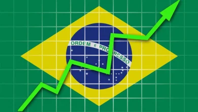 New market opening boosts prospects for Brazilian animal protein