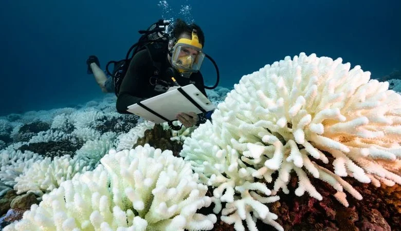 New reports paint picture of an unlivable future with warming now expected to blow past key limit