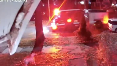 Newborn baby was not dropped off on porch of Detroit home, teen gave birth, family says