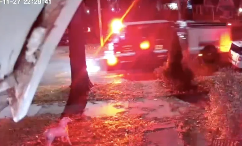 Newborn baby was not dropped off on porch of Detroit home, teen gave birth, family says