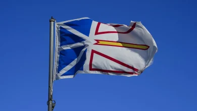 Newfoundland town ‘at the mercy of the sea’ as intense storm pounds the coast