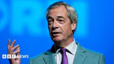 Nigel Farage's racism denials are dishonest, says ex-classmate